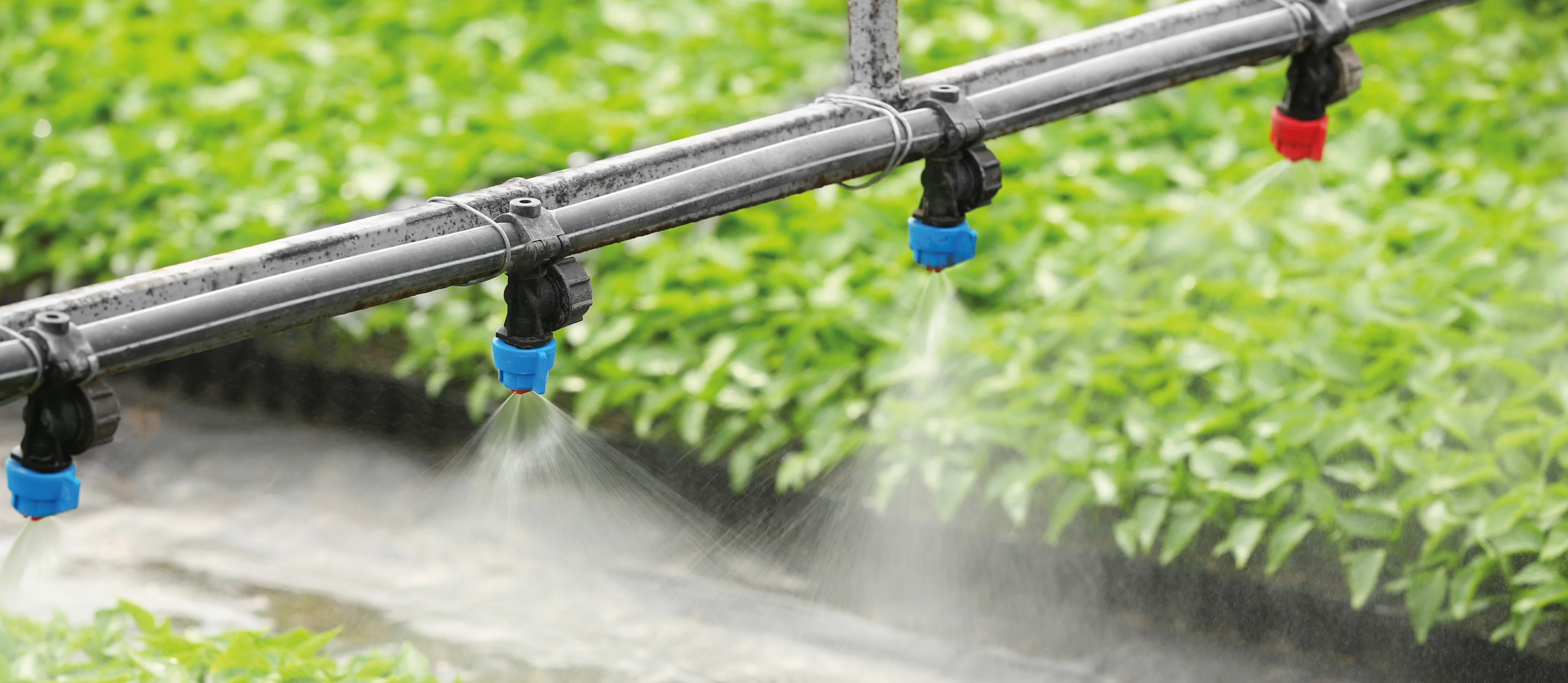 Andy's Irrigation